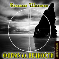 Вячеслав Шалыгин. Формула Вечности
