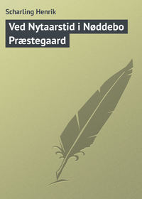 Ved Nytaarstid i Nøddebo Præstegaard