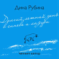 Дина Рубина. Долгий летний день в синеве и лазури