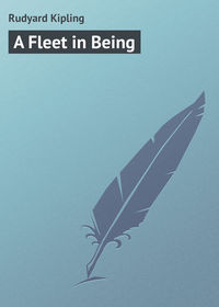 A Fleet in Being