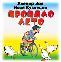 Авенир Зак. Пропало лето