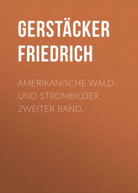 Amerikanische Wald- und Strombilder. Zweiter Band.