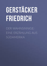 Der Wahnsinnige: Eine Erzählung aus Südamerika