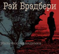 Мальчик-невидимка