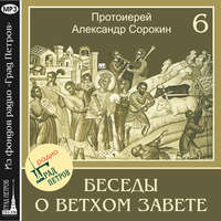 Протоиерей Александр Сорокин. Лекция 6. Утверждение Израиля в Ханаане