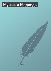 Группа авторов. Мужик и Медведь