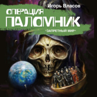 Игорь Власов. Операция Паломник