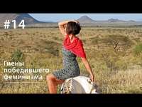 Евгения Тимонова. Гиены победившего феминизма