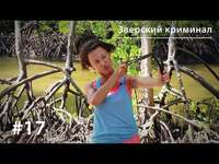 Евгения Тимонова. Зверский криминал: медоеды-громилы, павианы-грабители и крокодилы-убийцы