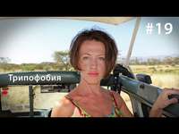 Евгения Тимонова. Трипофобия: почему нас пугают дырки и гипнотизируют прыщи