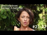 Евгения Тимонова. Цена спасения: аутотомия хвоста ящерицы vs ампутация рога носорога