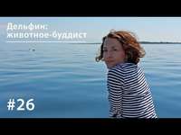 Евгения Тимонова. Дельфин: животное-буддист