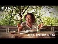 Евгения Тимонова. Зубр, символ мира