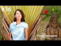 Евгения Тимонова. Гомо сапиенс: причины и поводы гомосексуального поведения