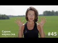 Евгения Тимонова. Сурок: наука сна