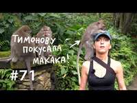 Евгения Тимонова. Почему мы любим массаж и сплетни?