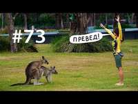 Евгения Тимонова. Кенгуру: трекс, секс, спинифекс