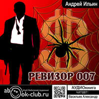 Андрей Александрович Ильин. Ревизор 007