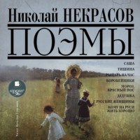 Николай Некрасов. Поэмы