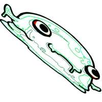 Дмитрий Гайдук. Молчок