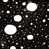 Дмитрий Гайдук. Про первый снег