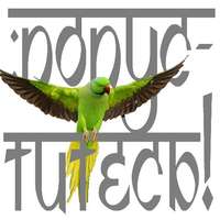 Дмитрий Гайдук. Химачальская былина