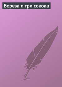 . Береза и три сокола