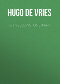 Het Yellowstone-Park