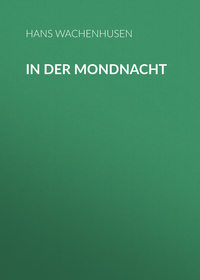 In der Mondnacht