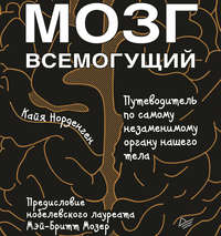 Кайя Норденген. Мозг всемогущий. Путеводитель по самому незаменимому органу нашего тела