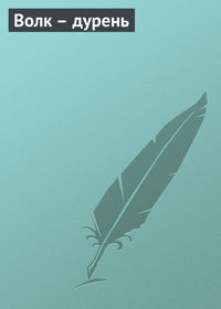 . Волк – дурень