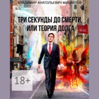 Владимир Анатольевич Михайлов. Три секунды до смерти, или Теория долга