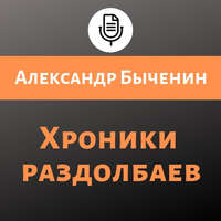 Александр Быченин. Хроники раздолбаев