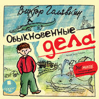 Обыкновенные дела