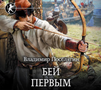 Владимир Поселягин. Русич. Бей первым