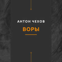 . Воры