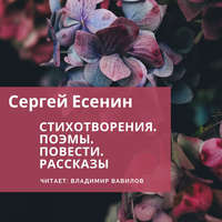 Сергей Есенин. Стихотворения. Поэмы. Повести. Рассказы