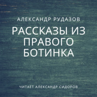 . Рассказы из правого ботинка (сборник)