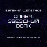 Евгений Щепетнов. Слава. Звёздный Волк