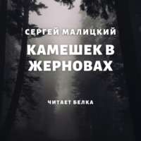 Сергей Малицкий. Камешек в жерновах