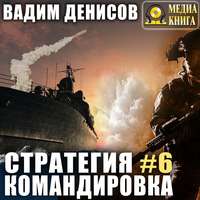 Вадим Денисов. Стратегия. Командировка