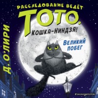 Дэрмот О’Лири. Великий побег