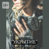 Виктория Олеговна Рогозина. Объект «Укрытие»