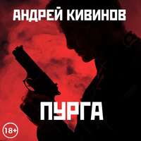 Андрей Кивинов. Пурга