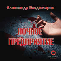 Александр Владимиров. Ночное предприятие