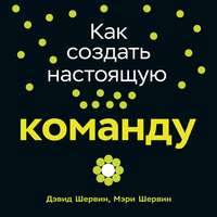 Дэвид Шервин. Как создать настоящую команду