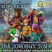 . Два домовых дома