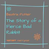 . The Story of a Fierce Bad Rabbit