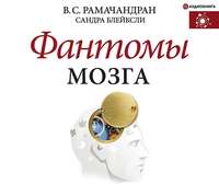 Сандра Блейксли. Фантомы мозга