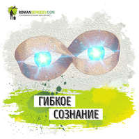 Роман Сергеев. Саммари на книгу «Гибкое Сознание. Новый взгляд на психологию развития взрослых и детей». Кэрол Дуэк